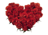 create a beautiful valentine video