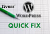 fix wordpress site errors and design issues