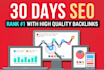 provide30 days SEO with high quality back links