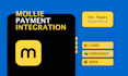 integrate mollie payment in your site