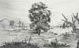 draw pencil sketch of anything