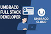 do change in umbraco cms and fix issue, maintenance, performance, quick help