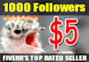 give you 1000 Real Twitter Followers and FREE Tweet to 16000 followers