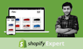 build a professional and high converting shopify website