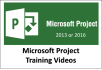 provide you one microsoft project training video