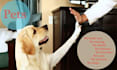 guest post on high quality pet blog