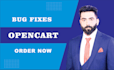 fix any issues and bugs in opencart online store