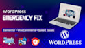 fix any wordpress error, woocommerce or elementor issue fast