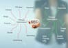 provide ultimate seo service for high google rank