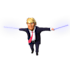 send you a rigged animated