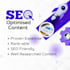 write high quality SEO blog posts and website content