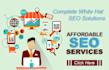 provide complete white hat SEO solutions