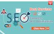 provide complete monthly SEO service package