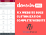 expertly fix wordpress and woocommerce errors, bugs and fix critical err