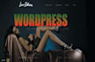 install WordPresstheme,customize WordPress website