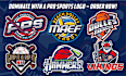 design baseball, basketball, football, hockey sports logo