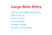 complete all types of large data entry works
