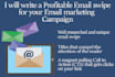 write a profitable email swipe for your email marketing campaign