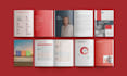 design professional  annual report