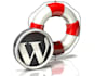 transfer your WordPress to another hosting