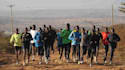 write a run training log
