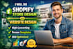 build shopify store design, shopify dropshipping store, shopify website redesign