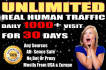 drive real unlimited website,USA traffic,visitors for 30 days