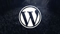 create wordpress websites,customize themes and solve issues