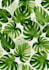design trendy pattern fabric