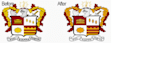 vectorize,trace, convert your logo or graphic into vector