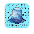 customize your snap code