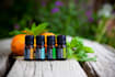teach you how to use essential oils