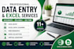 do data entry, copy and paste, research and conversion
