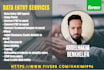 do a perfect data entry work in excel