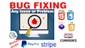fix wordpress errors and issues