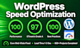 optimize wordpress speed and fix core web vitals for pagespeed insights 90 score