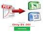 convert PDF into Excel or Word within 20 hours