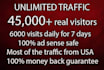 drive UNLIMITED usa  targeted web traffic visitors