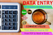 do Data Entry and file conversion SKILLFULLY