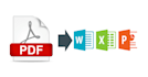 convert PDF to Word on 5 files