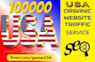 send real organic USA web traffic