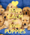 show you how to Train Your Puppy