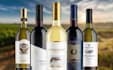 do professional and print ready wine label design