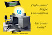 give professional SKYPE consultation and coaching