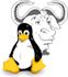 do setup and  troubleshooting for gnu linux related system