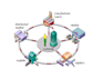 solve your supply chain management and operation research