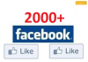give you 2000 Facebook likes to any fan page or website only