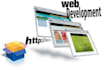develop custom web application