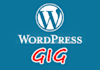 help you with ANY WordPress issue/problem
