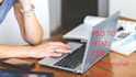 do web development and web programming